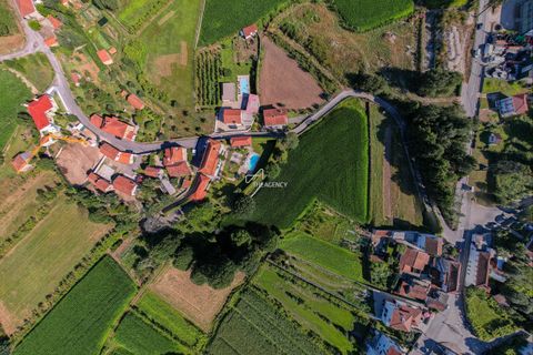 Farm hus i Barcelos, Braga, Barcelos - € 1.700.000 | Ref: TAPT01-392_AK - foto 9