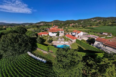 Farm hus i Barcelos, Braga, Barcelos - € 1.700.000 | Ref: TAPT01-392_AK - foto 11