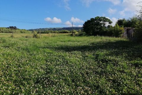 Helårsgrund i Horta, Faial, Horta - € 25.000 | Ref: 1016 - foto 2