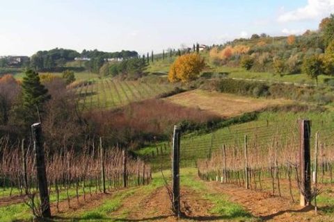 Villa i Capannori, Lucca, Capannori - € 1.020.000 | Ref: v2369lv-x - foto 8