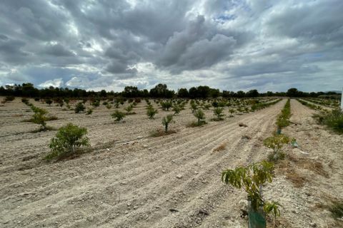 Landejendom i Cieza, Murcia, Cieza - € 390.000 | Ref: 1999 - foto 5