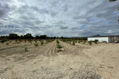 Landejendom i Cieza, Murcia, Cieza - € 390.000 | Ref: 1999 - foto 6