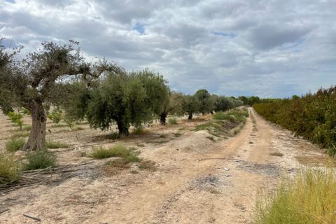 Landejendom i Cieza, Murcia, Cieza - € 390.000 | Ref: 1999 - foto 11