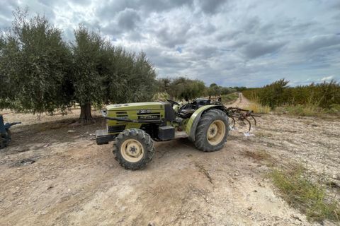Landejendom i Cieza, Murcia, Cieza - € 390.000 | Ref: 1999 - foto 13