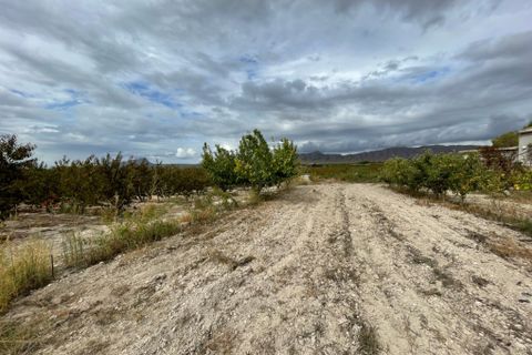 Landejendom i Cieza, Murcia, Cieza - € 390.000 | Ref: 1999 - foto 15