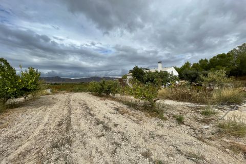 Landejendom i Cieza, Murcia, Cieza - € 390.000 | Ref: 1999 - foto 17