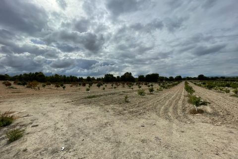 Landejendom i Cieza, Murcia, Cieza - € 390.000 | Ref: 1999 - foto 19