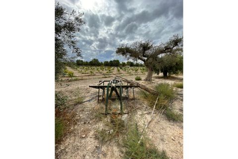 Landejendom i Cieza, Murcia, Cieza - € 390.000 | Ref: 1999 - foto 20