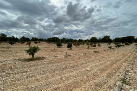 Landejendom i Cieza, Murcia, Cieza - € 390.000 | Ref: 1999 - foto 22