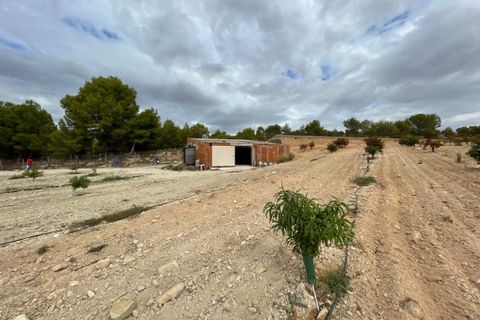Landejendom i Cieza, Murcia, Cieza - € 390.000 | Ref: 1999 - foto 23