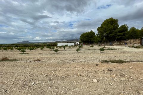 Landejendom i Cieza, Murcia, Cieza - € 390.000 | Ref: 1999 - foto 24