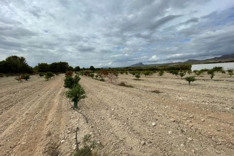 Landejendom i Cieza, Murcia, Cieza - € 390.000 | Ref: 1999 - foto 16
