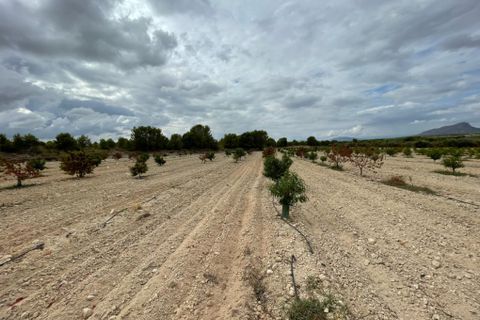 Landejendom i Cieza, Murcia, Cieza - € 390.000 | Ref: 1999 - foto 25