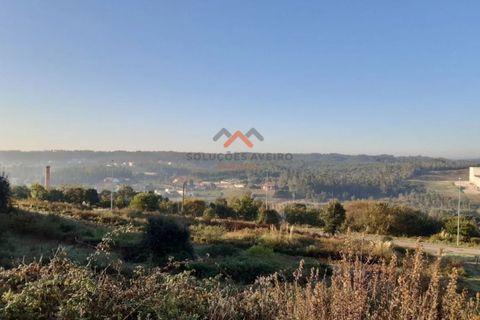 Helårsgrund i Oliveira do Bairro, Aveiro, Oliveira do Bairro - € 57.000 | Ref: 5140 - foto 2