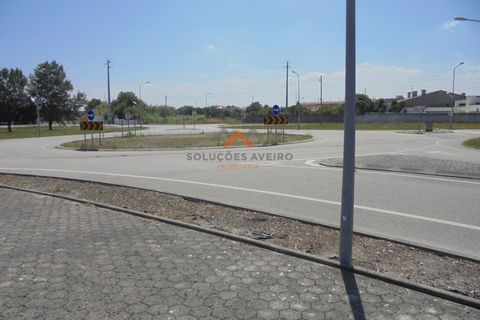 Helårsgrund i Ilhavo, Aveiro, Ilhavo - € 65.000 | Ref: 5359 - foto 4