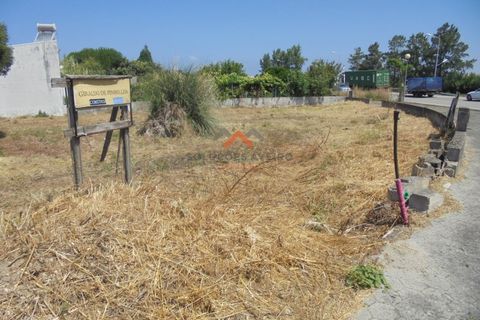 Helårsgrund i Ilhavo, Aveiro, Ilhavo - € 65.000 | Ref: 5359 - foto 7