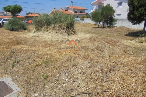Helårsgrund i Ilhavo, Aveiro, Ilhavo - € 65.000 | Ref: 5359 - foto 8