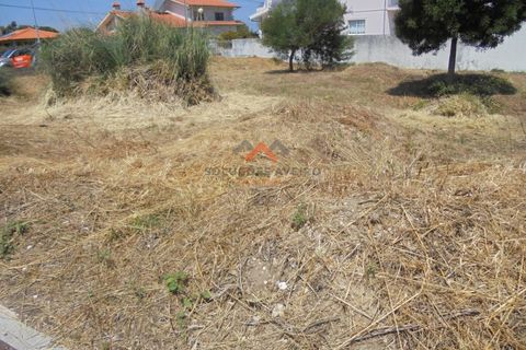Helårsgrund i Ilhavo, Aveiro, Ilhavo - € 65.000 | Ref: 5359 - foto 9