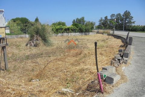 Helårsgrund i Ilhavo, Aveiro, Ilhavo - € 65.000 | Ref: 5359 - foto 10