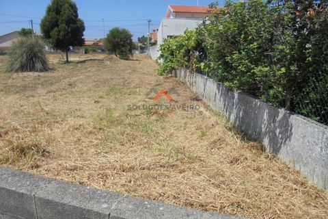 Helårsgrund i Ilhavo, Aveiro, Ilhavo - € 65.000 | Ref: 5359 - foto 11