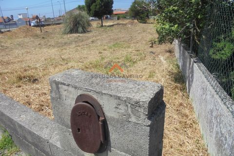 Helårsgrund i Ilhavo, Aveiro, Ilhavo - € 65.000 | Ref: 5359 - foto 12