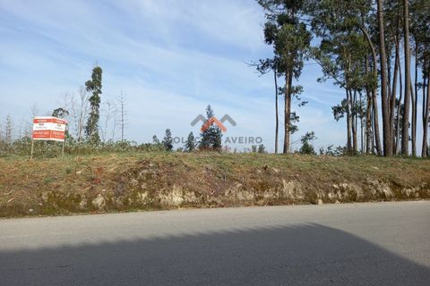 Helårsgrund i Aveiro, Aveiro, Aveiro - € 80.000 | Ref: 5300 - foto 2