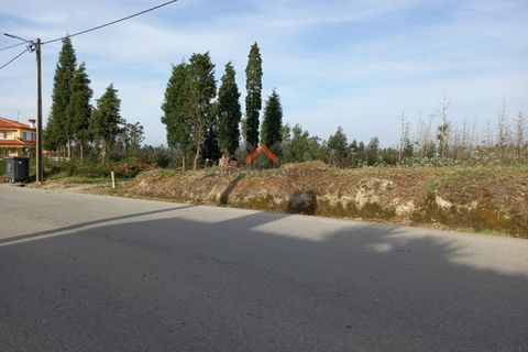 Helårsgrund i Aveiro, Aveiro, Aveiro - € 80.000 | Ref: 5300 - foto 3