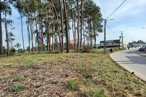 Helårsgrund i Aveiro, Aveiro, Aveiro - € 80.000 | Ref: 5300 - foto 4