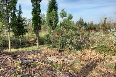 Helårsgrund i Aveiro, Aveiro, Aveiro - € 80.000 | Ref: 5300 - foto 10