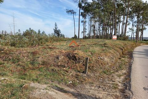 Helårsgrund i Aveiro, Aveiro, Aveiro - € 80.000 | Ref: 5300 - foto 11