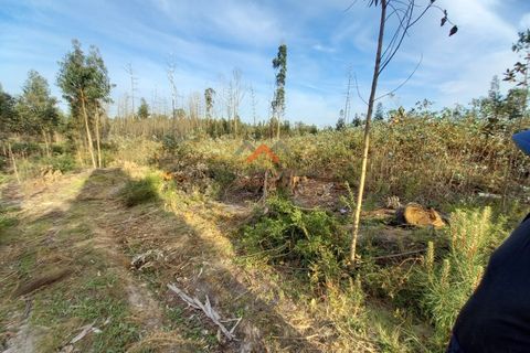Helårsgrund i Aveiro, Aveiro, Aveiro - € 80.000 | Ref: 5300 - foto 14