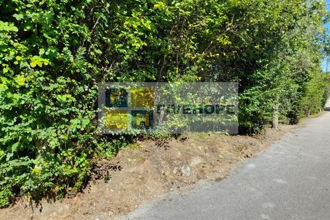 Helårsgrund i Santo Andre, Setubal, Santo Andre - € 80.000 | Ref: TER_137 - foto 2