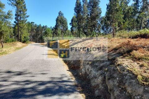 Helårsgrund i Santo Andre, Setubal, Santo Andre - € 80.000 | Ref: TER_137 - foto 3