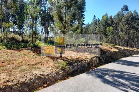 Helårsgrund i Santo Andre, Setubal, Santo Andre - € 80.000 | Ref: TER_137 - foto 4
