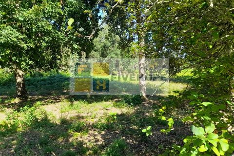 Helårsgrund i Santo Andre, Setubal, Santo Andre - € 80.000 | Ref: TER_137 - foto 5
