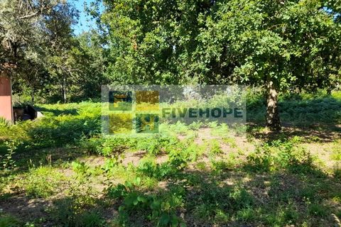 Helårsgrund i Santo Andre, Setubal, Santo Andre - € 80.000 | Ref: TER_137 - foto 6