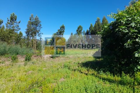 Helårsgrund i Santo Andre, Setubal, Santo Andre - € 80.000 | Ref: TER_137 - foto 8