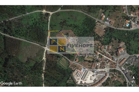 Helårsgrund i Santo Andre, Setubal, Santo Andre - € 80.000 | Ref: TER_137 - foto 9