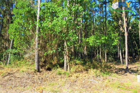 Helårsgrund i Serta, Castelo Branco, Serta - € 19.000 | Ref: MG125 - foto 2