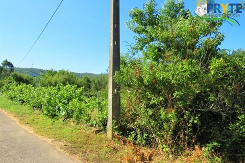 Helårsgrund i Serta, Castelo Branco, Serta - € 19.000 | Ref: MG125 - foto 4