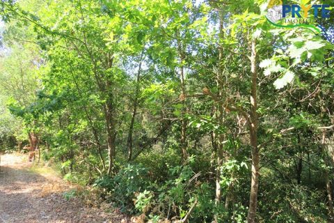 Helårsgrund i Serta, Castelo Branco, Serta - € 19.000 | Ref: MG125 - foto 15