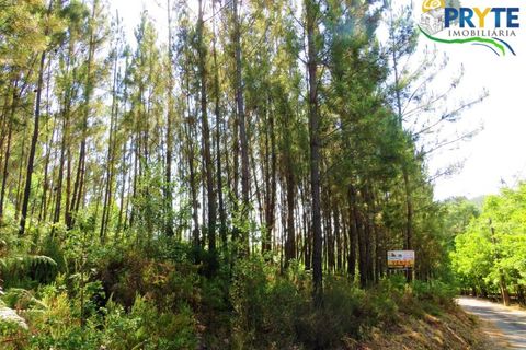 Helårsgrund i Serta, Castelo Branco, Serta - € 19.000 | Ref: MG125 - foto 20