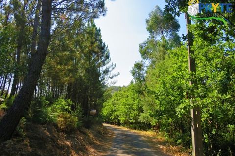 Helårsgrund i Serta, Castelo Branco, Serta - € 19.000 | Ref: MG125 - foto 25