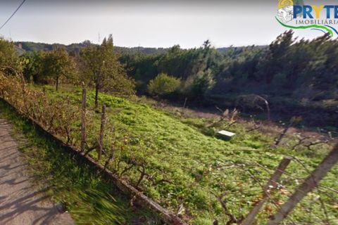 Helårsgrund i Serta, Castelo Branco, Serta - € 19.000 | Ref: MG125 - foto 26