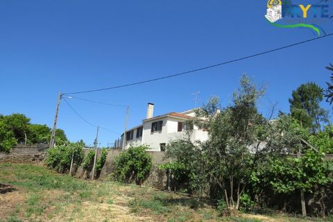 Farm i Serta, Castelo Branco, Serta - € 350.000 | Ref: AA273 - foto 9