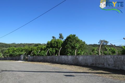 Farm i Serta, Castelo Branco, Serta - € 350.000 | Ref: AA273 - foto 17