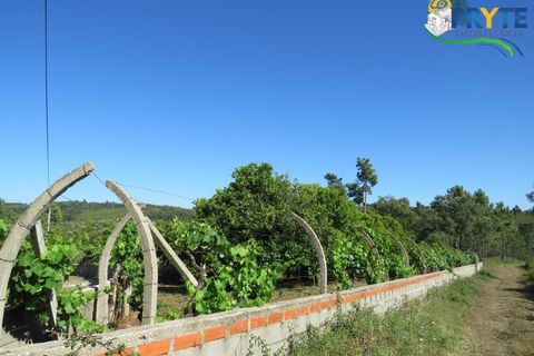 Farm i Serta, Castelo Branco, Serta - € 350.000 | Ref: AA273 - foto 19