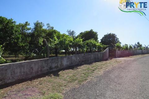 Farm i Serta, Castelo Branco, Serta - € 350.000 | Ref: AA273 - foto 20