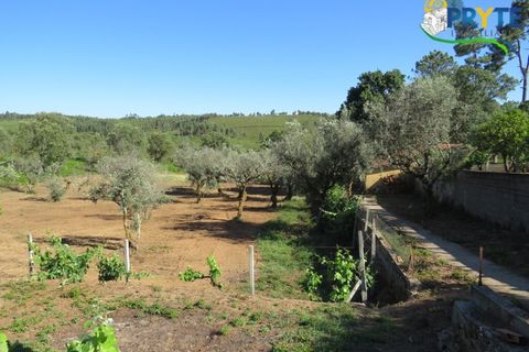 Farm i Serta, Castelo Branco, Serta - € 350.000 | Ref: AA273 - foto 22