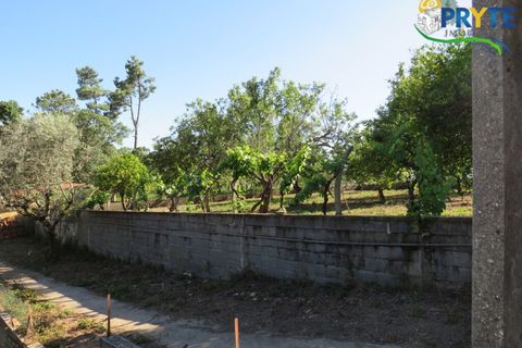 Farm i Serta, Castelo Branco, Serta - € 350.000 | Ref: AA273 - foto 23